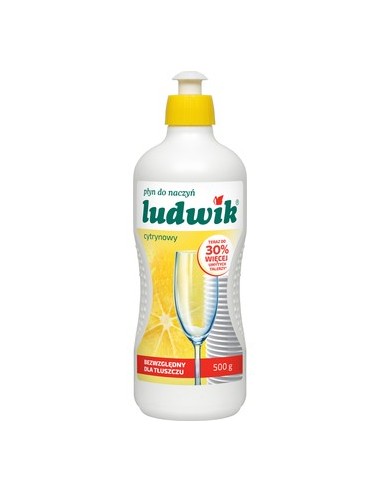 Ludwik płyn do naczyń miętowy