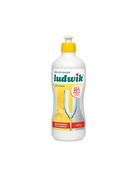 Ludwik płyn do naczyń miętowy